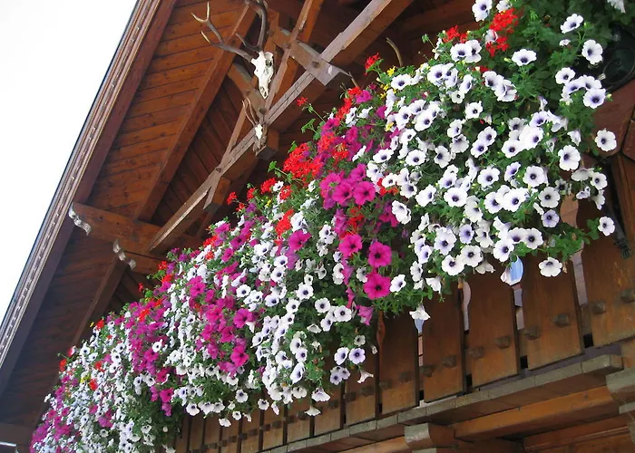 Haus Fernblick * 카플