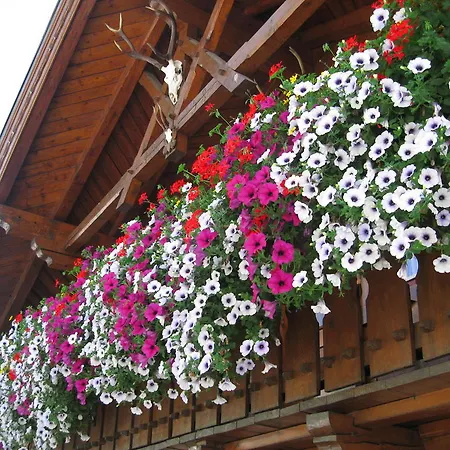 Haus Fernblick * Kappl (Landeck)